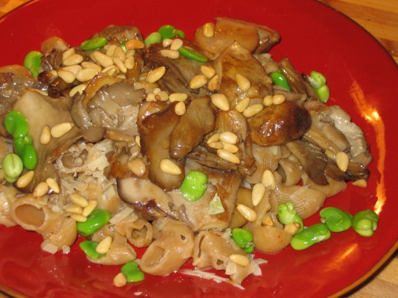 june 2009 017 june 2009 017