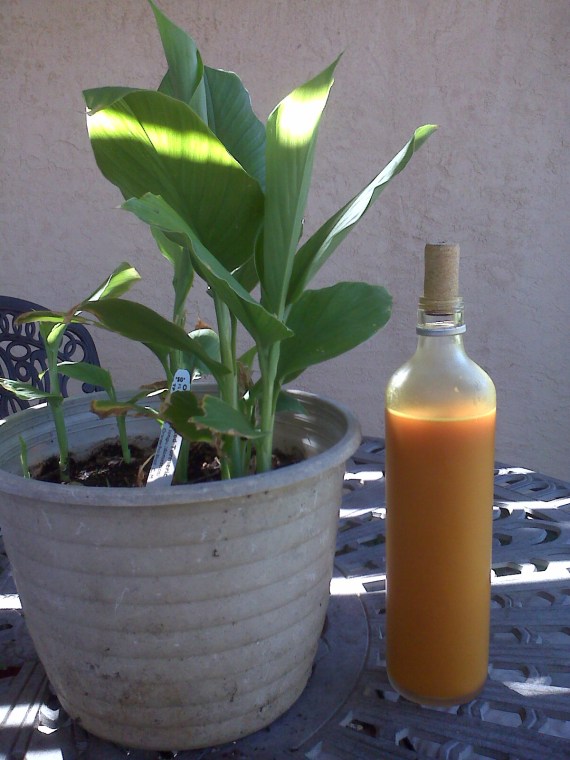 _Media Card_BlackBerry_pictures_IMG00146